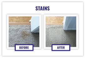 steam cleaning carpet services