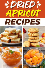 25 best dried apricot recipes to try