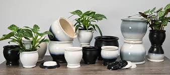 washington pottery company