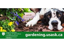 gardening usask ca