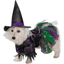 Zack Zoey Scary Witch Dog Costume Xsmall
