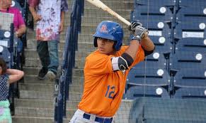 New York Mets 2019 Top 50 Prospects Prospects1500