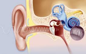 The unpleasant ear pressure that often comes along with these kinds. What To Do When Your Ears Won T Pop