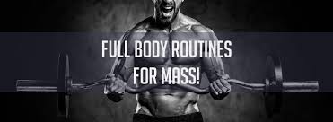 full body training routines that kick
