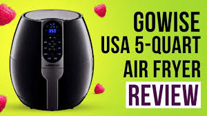 gowise usa 5 quart air fryer with 8