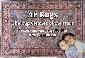 professional rug cleaning aerugs
