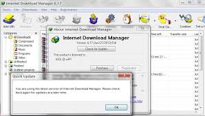 Internet Download Manager 6.17 Build 11 (preactivated/including crack)