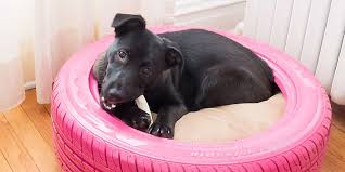 Diy Dog Bed From A Recycled Tire
