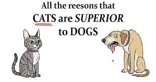 why cats are better than dogs