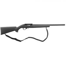 ruger 10 22 light varmint target 22