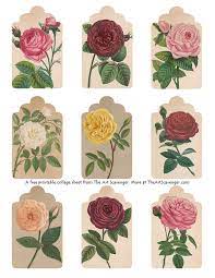 free rose junk journal cards the art