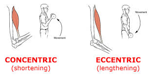 should i be stretching kinatex markham