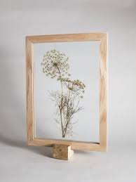 Pressed Flower Frames Archives By Hope