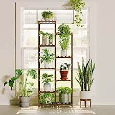 indoor plant stands foter