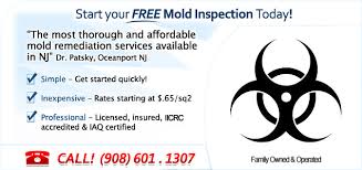 Basement Mold Removal Nj Do You Have