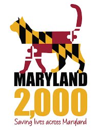 Information is automatically updated in real time as animals become available we are currently doing adoptions by appointment only. Maryland Comes Together For The First Time To Help Adopt Out 2 000 Cats