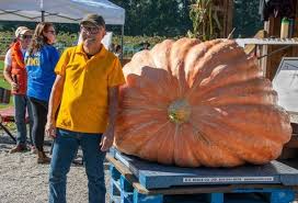 Column How To Win Big Growing Giant Pumpkins Richmond News