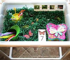 Additionally, our free butterfly template is very versitle and can be used for a variety of preschool butterfly crafts and fine motor activities. Butterfly Sensory Bin With Scavenger Hunt And Life Cycle Activities Free Printables Living Montessori Now