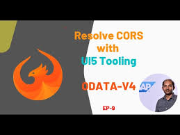 resolve cors with ui5 web tooling