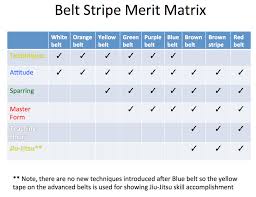 Belt Exam Promotion Requirements Kaizen Karate