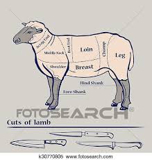 Vector Lamb Cuts Diagram Clipart K30770805 Fotosearch