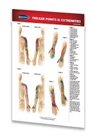 Details About Trigger Points Ii Extremities Acupressure Acupuncture Pocket Chart