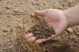 guide to soil types pros cons and