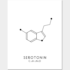 serotonin posters and art prints