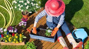 20 Secret Gardening Tips And S For