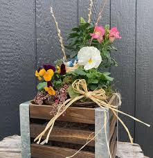 Spring Wooden Crate Planter Altum S