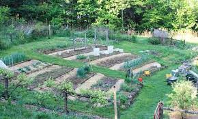 plant a vegetable garden on a slope