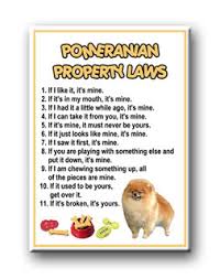 Pomeranian Weight Chart Goldenacresdogs Com