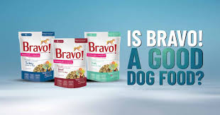 bravo dog food review dogs naturally