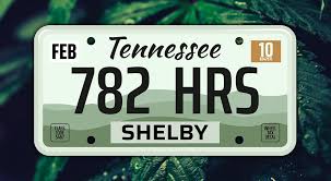 West virginia's mmj program may not allow sales until late 2021 or 2022. Tennessee Laws And Penalties Norml