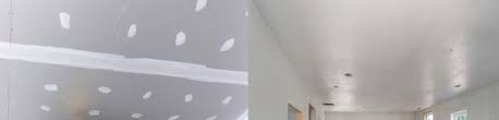 Difference Between Drywall And Plaster