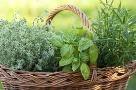 The Best Herbs To Grow At Home Save