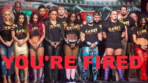 Image result for wwe superstar male and female