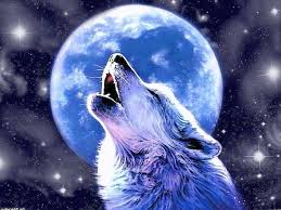 Find over 100+ of the best free wolf howling images. Awesome Wolf Howling Wallpapers Awesome Wolf Howling Wallpapers Anime Wolf Wolf Howling Wolf Life