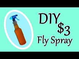 33 homemade horsefly spray recipes