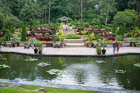 beautiful botanical gardens