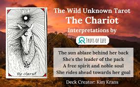 Check spelling or type a new query. The Chariot The Wild Unknown Tarot Card Meanings Trots Of Life