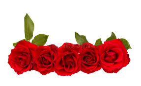 Beira de rosas vermelhas foto de stock. Imagem de flor - 28819268