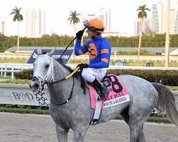 White Abarrio: Derby horse's jockey ...