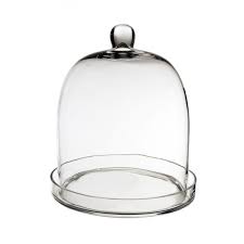 glass dome bell jar cloche with glass