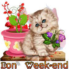 Gif animé Bon Week-end - chat - plante verte - fleurs et pétales de rose -  les gifs animés de dentelledelune