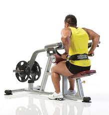 seated tricep dips outlet benim k12