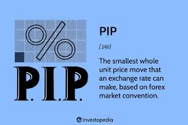 what are pips in forex trading and what