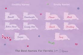 88 unique ferret names