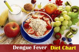 9 Food Item Idea During Dengue Fever Dr V K Thakur