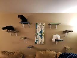 16 creative diy cat shelves and cat